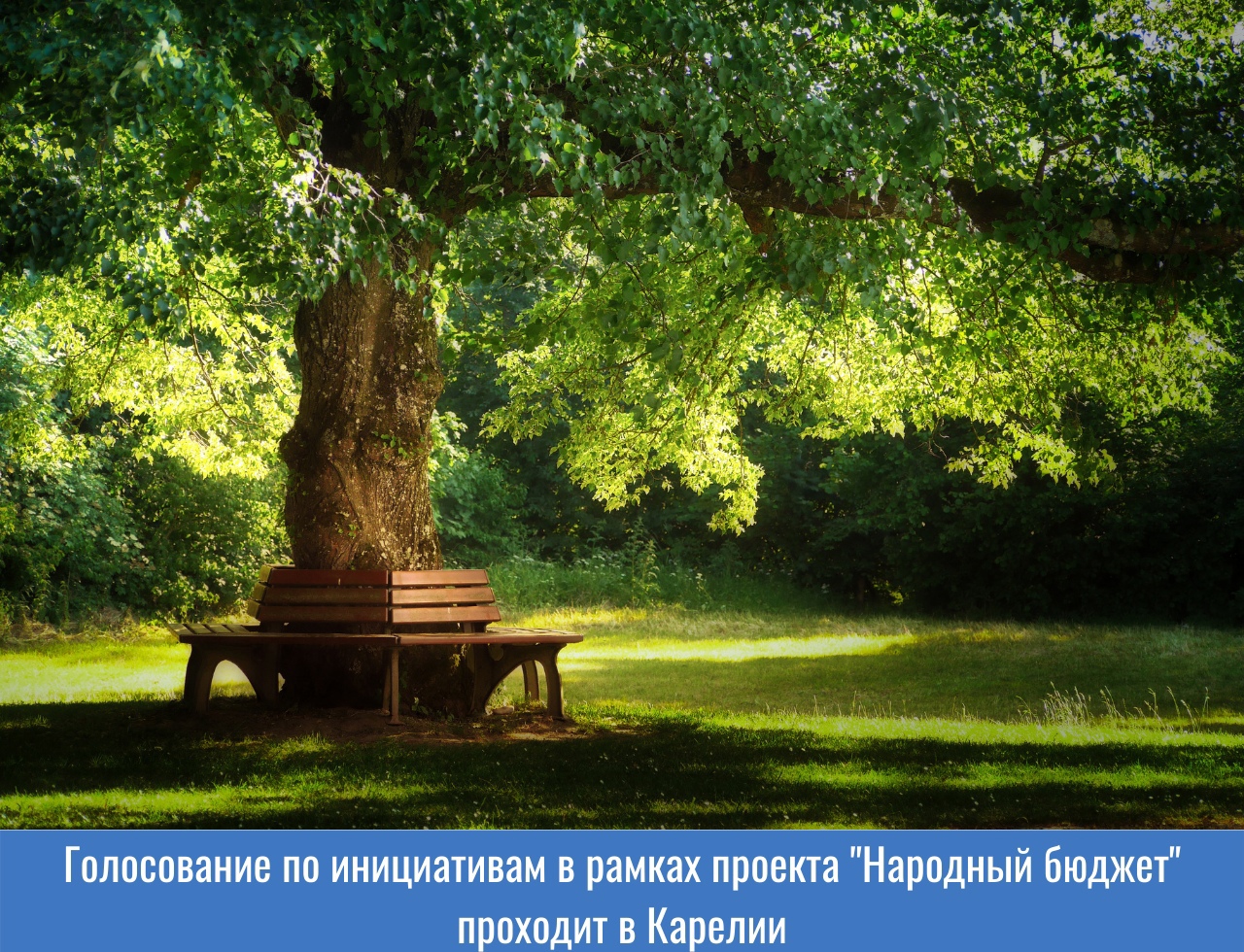 Голосуем за инициативы по программе «Народный бюджет»