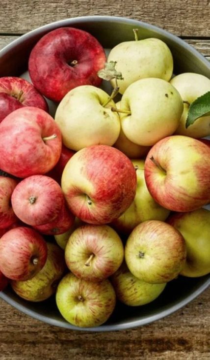 Жители республики могут передать яблоки в зону СВО