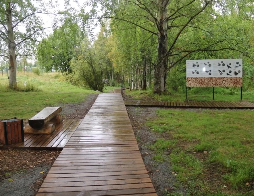 В Кеми преобразили городскую площадь и тропу здоровья